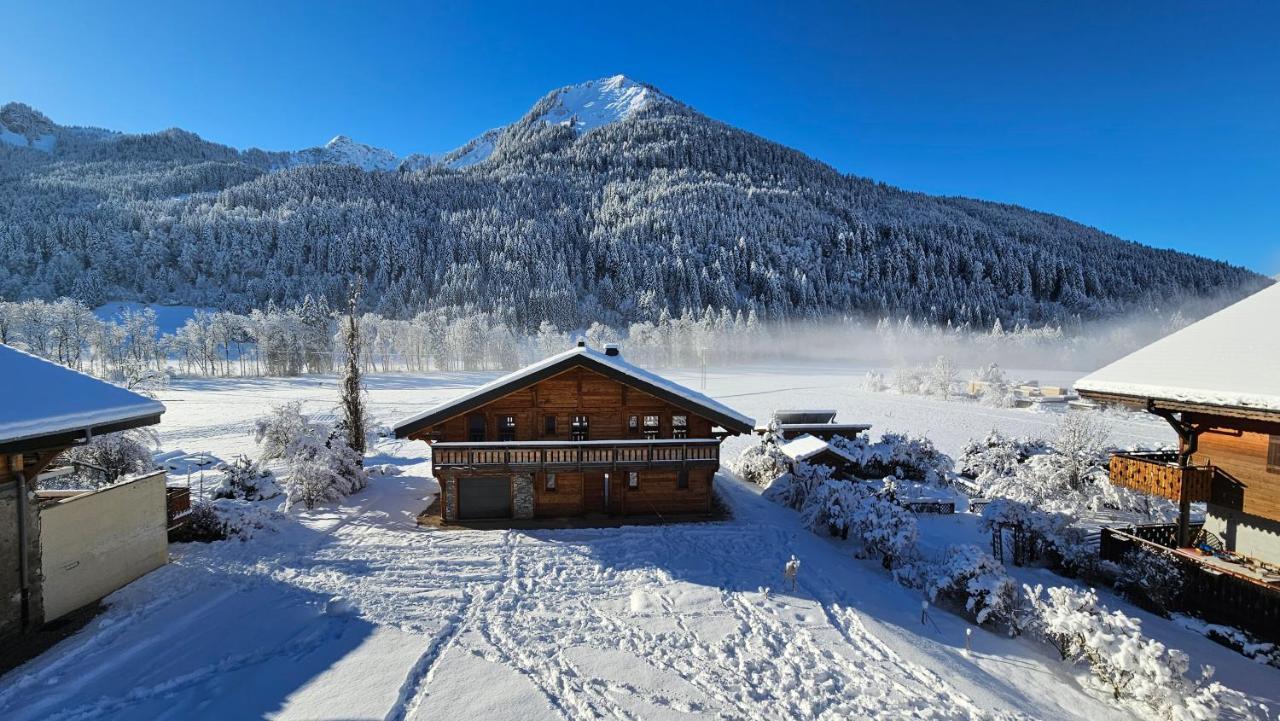 Demi-Chalet Vadel La Panthiaz 15 Pers 5 Chambres Abondance Εξωτερικό φωτογραφία