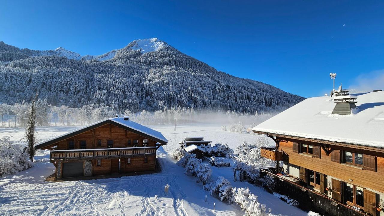 Demi-Chalet Vadel La Panthiaz 15 Pers 5 Chambres Abondance Εξωτερικό φωτογραφία