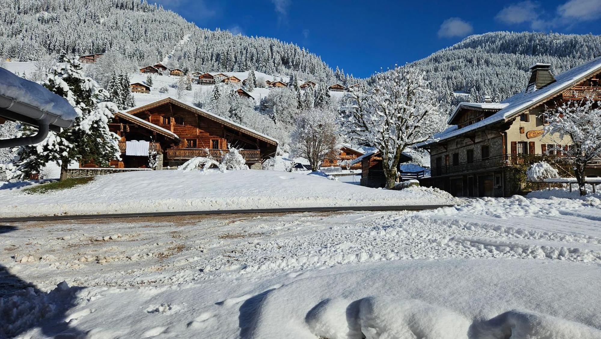 Demi-Chalet Vadel La Panthiaz 15 Pers 5 Chambres Abondance Εξωτερικό φωτογραφία